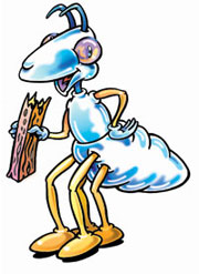 ant