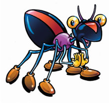 spider