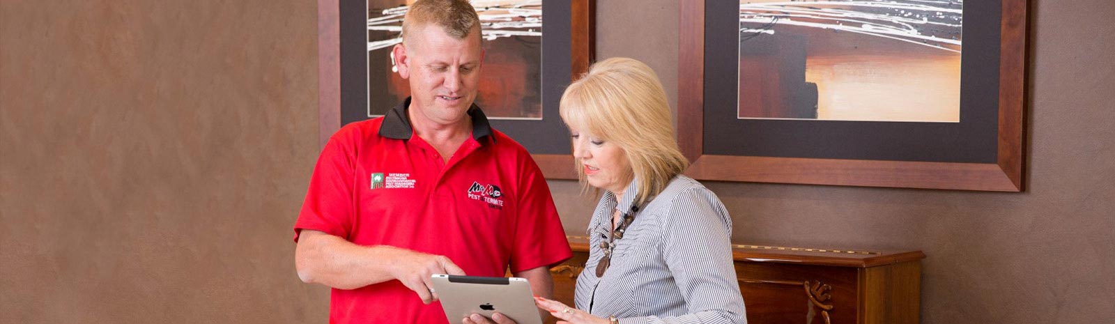 pest termite inspection