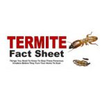 termite-fact-sheet img-border