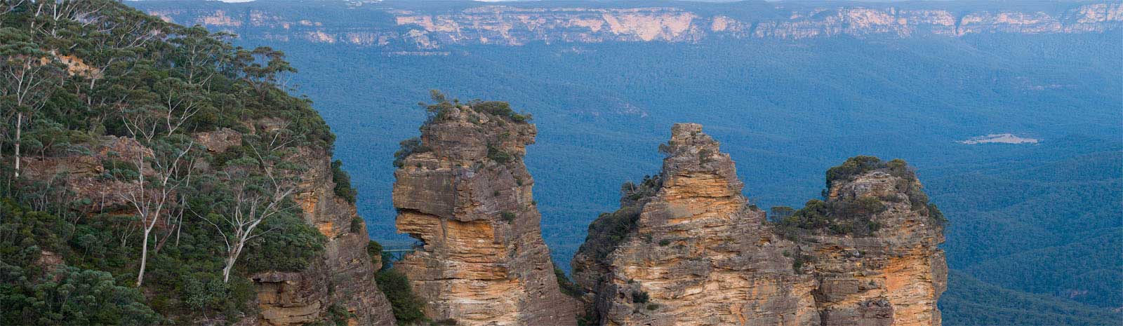 blue mountains pest control