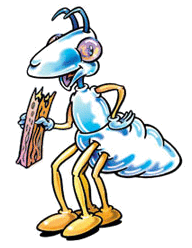Termites Sydney