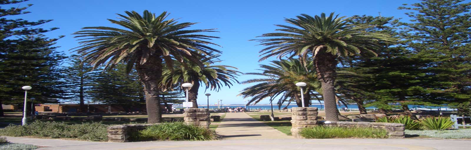 Pest control Cronulla