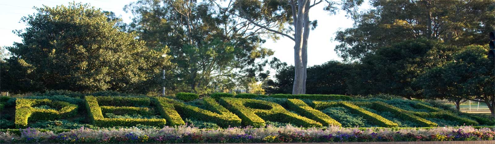 Pest control & termite control Penrith