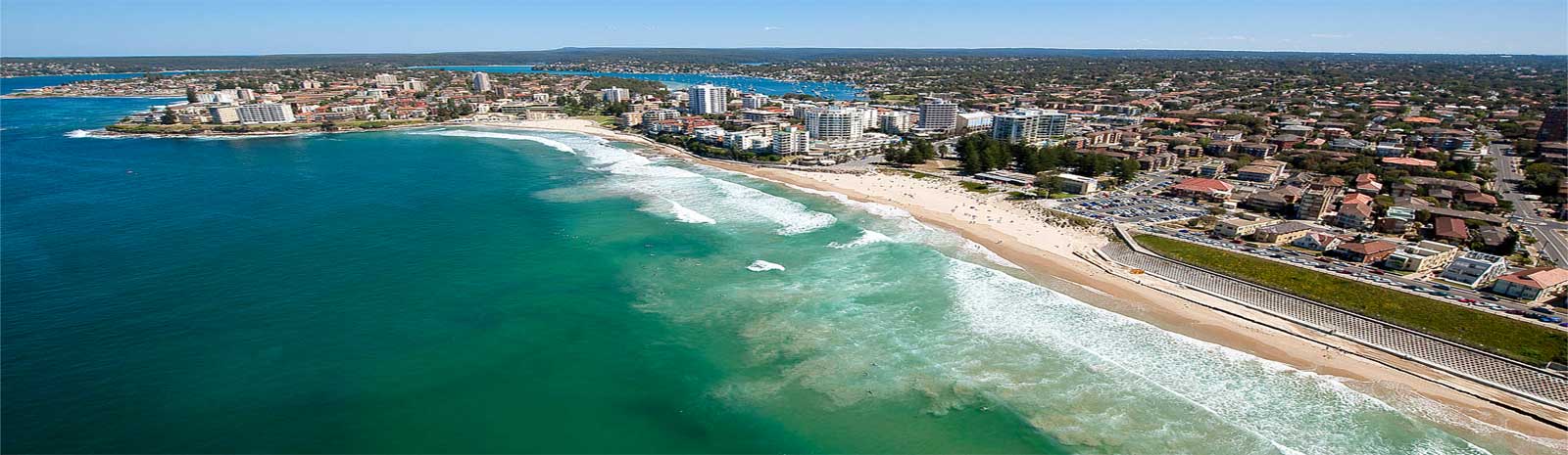 Pest Control Sutherland Shire